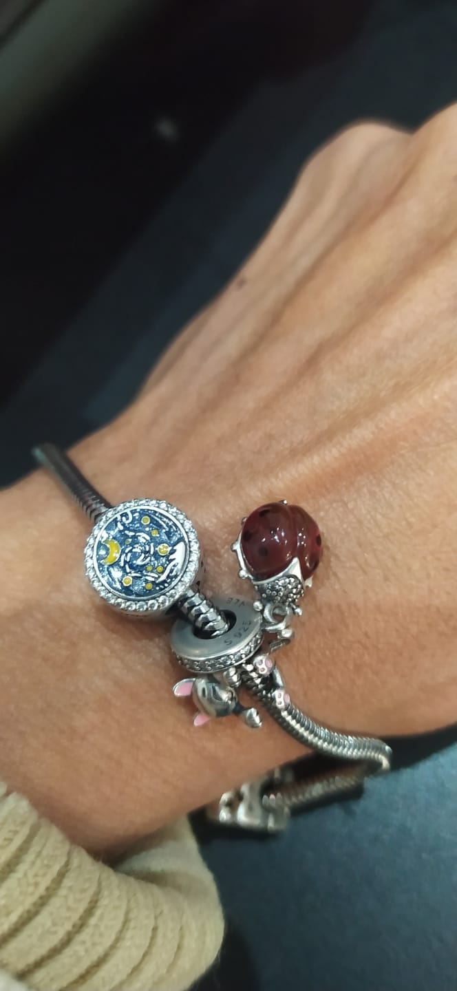 Customer photo review of Charm Noche Estrellada de Van Gogh