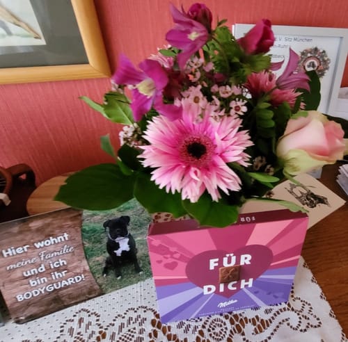 Customer photo review of Hunde-Türschild mit Foto & Wunschtext (UV- UND WETTERFEST)