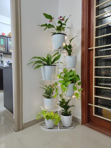 Customer photo review of UnitedCrafts 6 Tier 7 Potted Metal Plant Stand Multiple Shelves