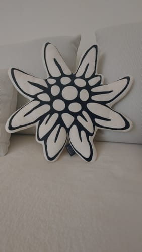 Recensione con foto di un cliente su Stella  ⭐️ Alpina