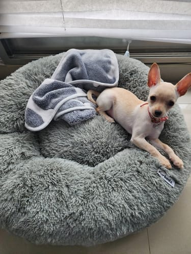 Customer photo review of Cama Antiestrés Para Perros
