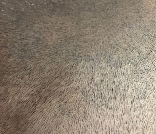 Customer photo review of SMP Ink and Mixing Solution