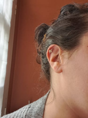 Customer photo review of Piercing Alba