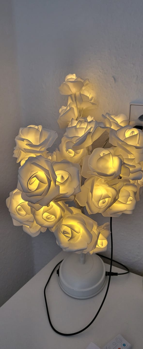 Customer photo review of Bäumlein® - mit 32 LED Rosen