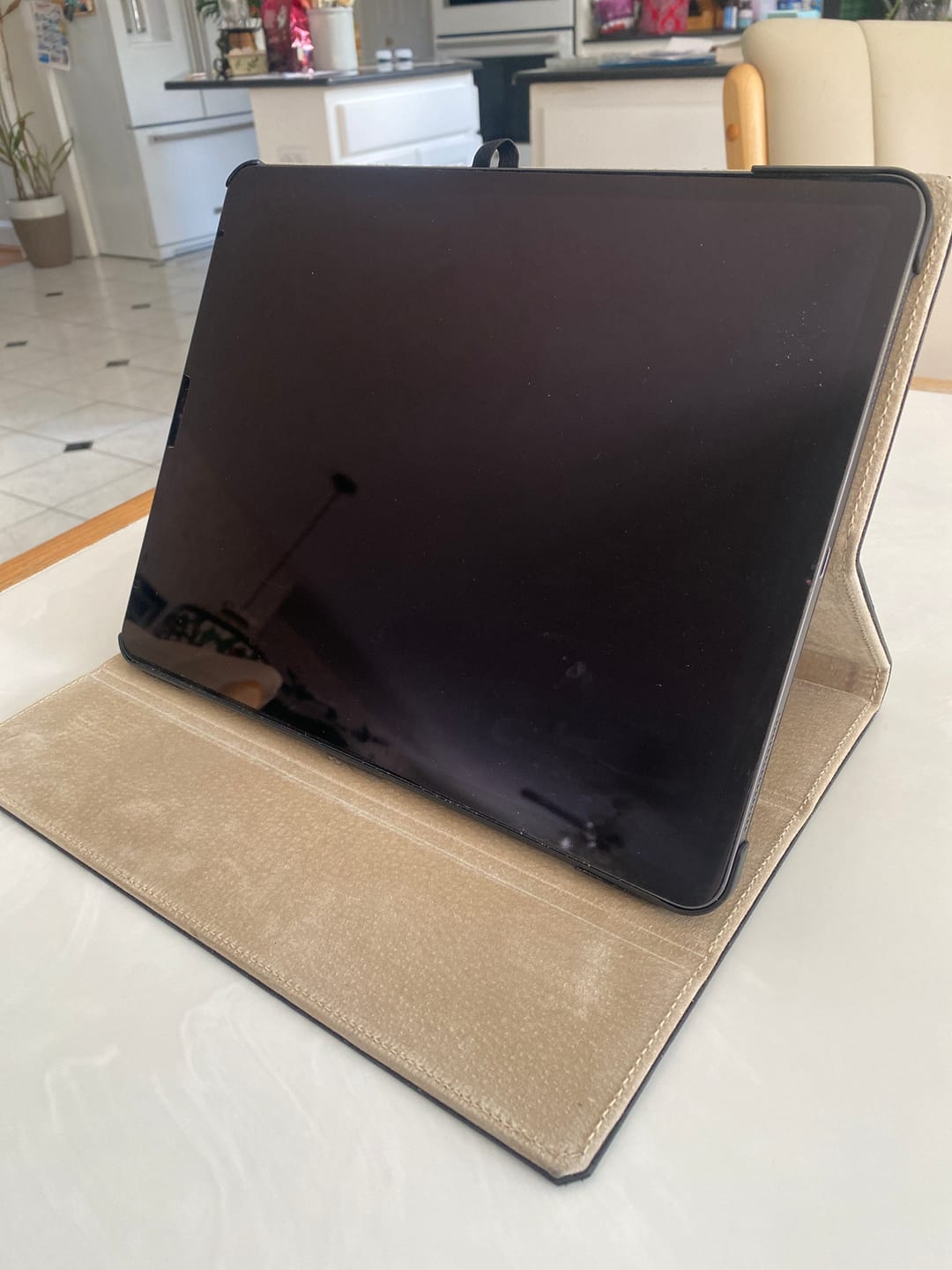 Customer photo review of Noblessa Leather iPad Case