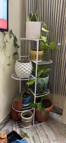 Customer photo review of UnitedCrafts 6 Tier 7 Potted Metal Plant Stand Multiple Shelves