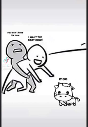 Customer photo review of Pure CBD Isolate Oil