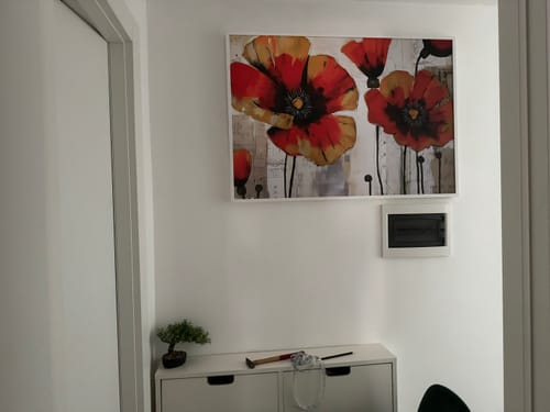 Customer photo review of Papaveri nella storia