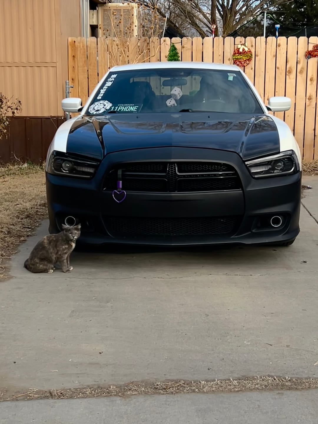 Customer photo review of Super Glossy Piano Black Vinyl Wrap