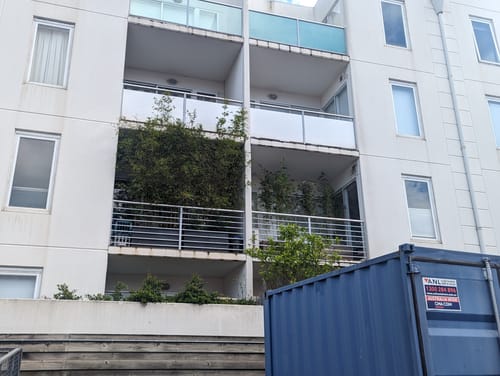 Customer photo review of Bamboo Fertiliser Pack (incl. SMS reminders)