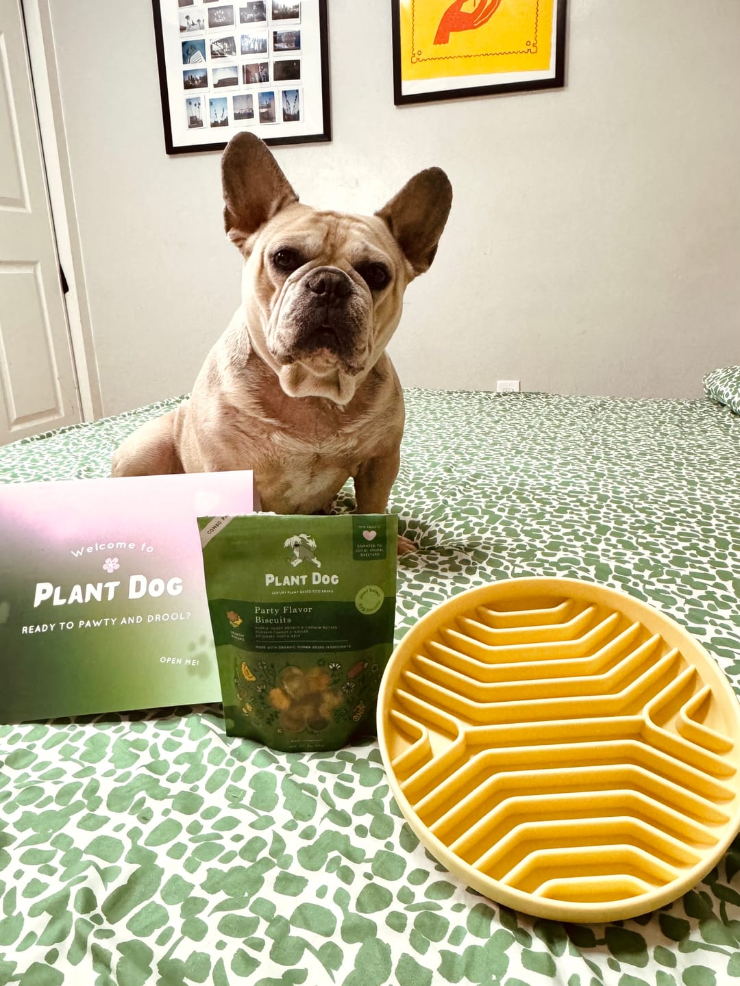 Customer photo review of Party Flavor