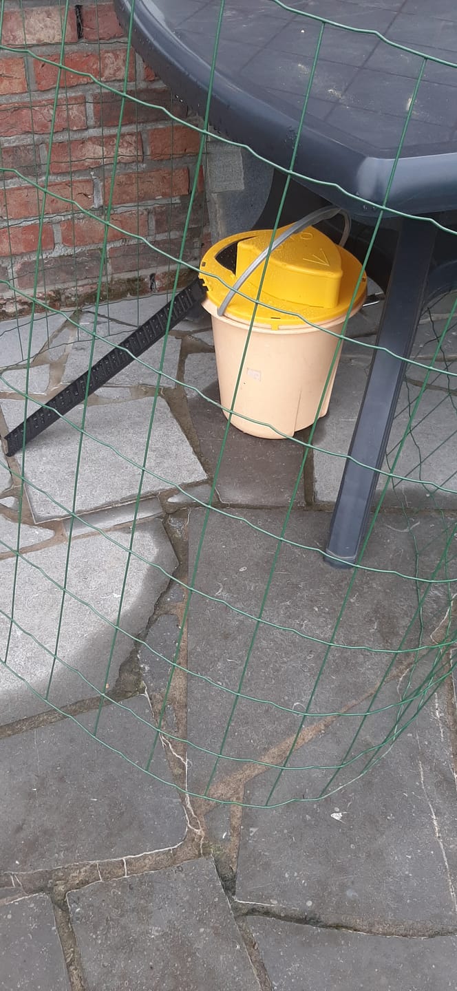 Customer photo review of Piège à Rats, Mulots et Souris à Trappe intelligente