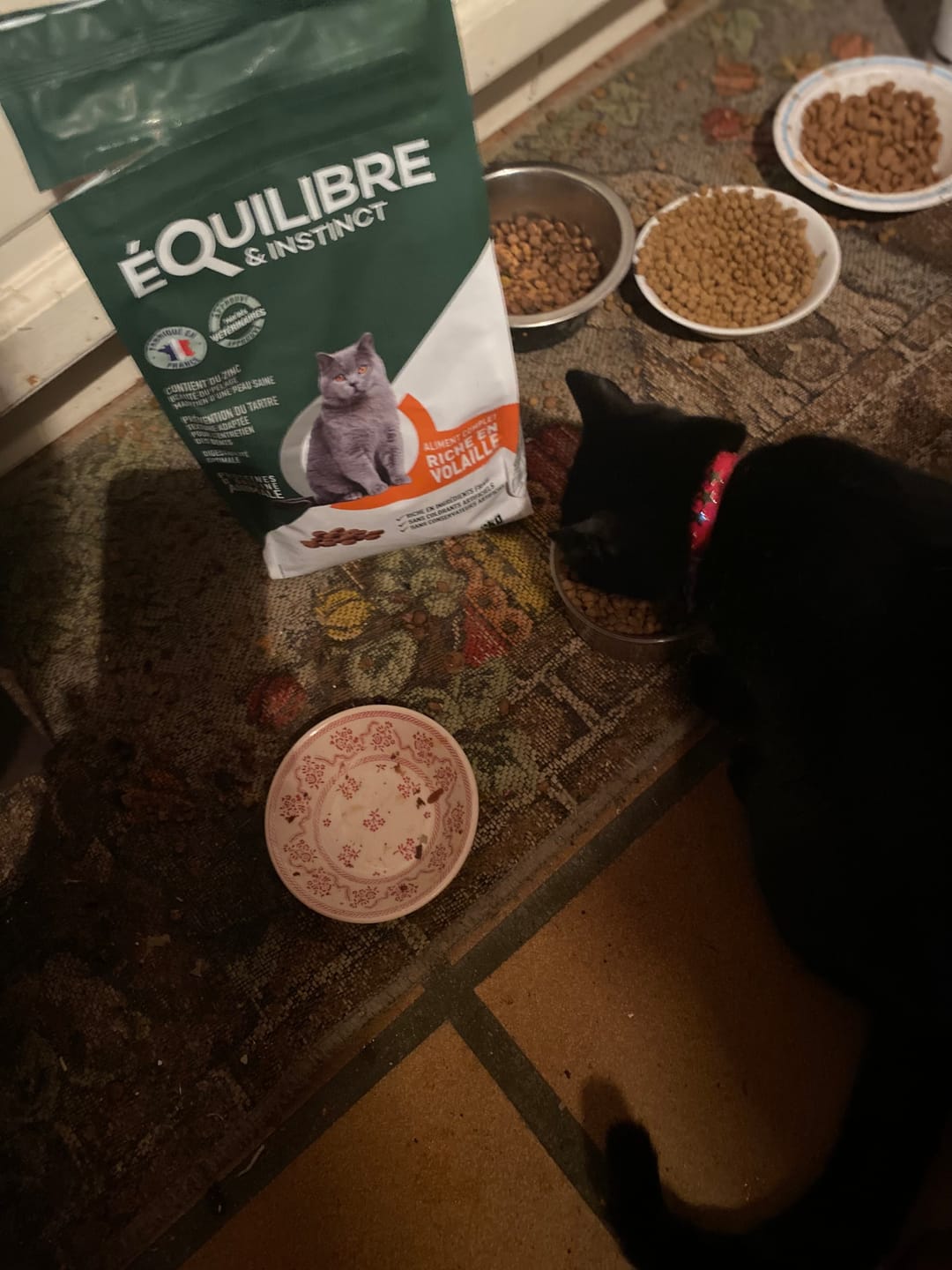 Customer photo review of Croquettes de volaille riches en ingrédients frais (chat adulte)