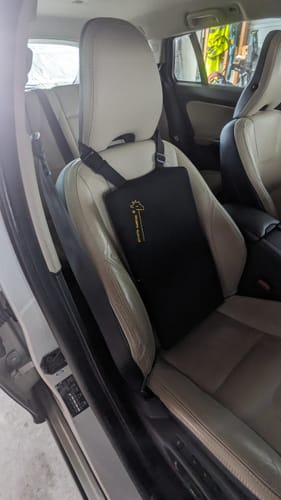 Customer photo review of Insert Pad for Giraffe Cushion