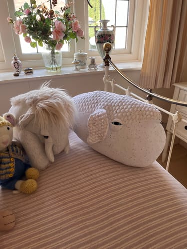 Customer photo review of The Beluga