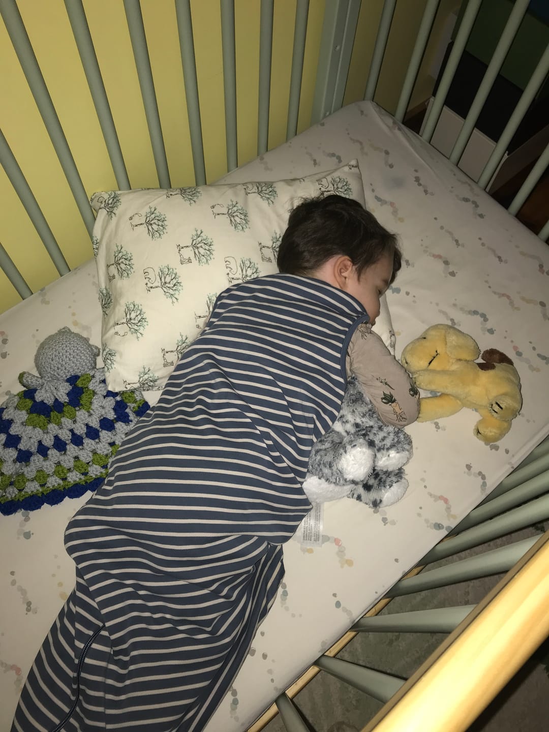Customer photo review of Wool Pillow, Toddler and Kids, Size: 14"x19"