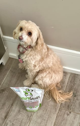 Customer photo review of USA Chicken Jerky