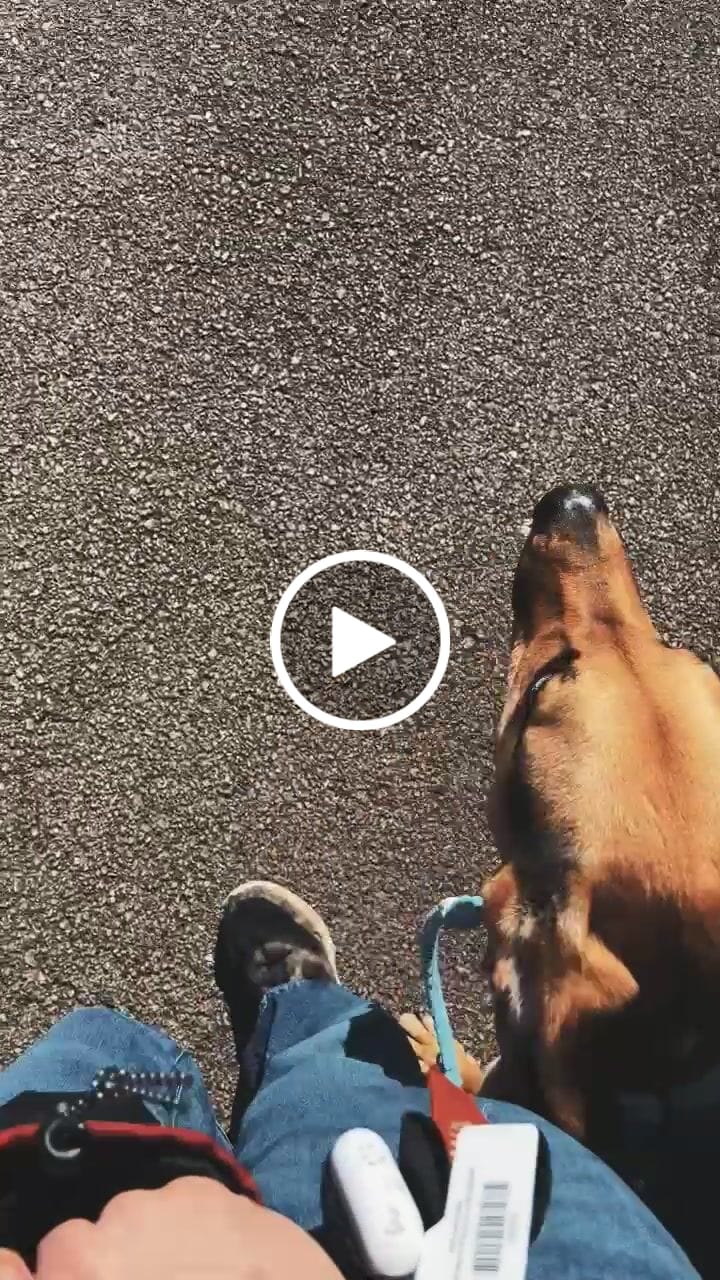 Customer video review of 6-IN-1 Hands Free Cotton Rope Dog Leash
