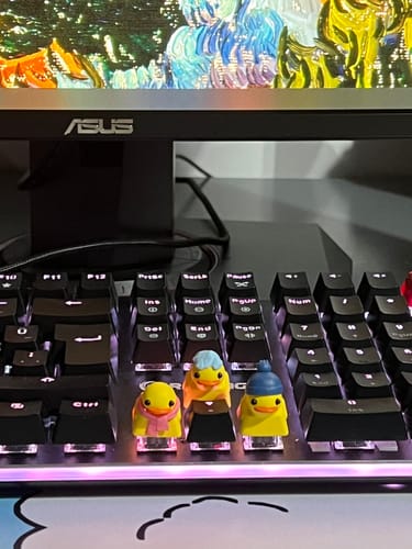 Customer photo review of Shipping Protection