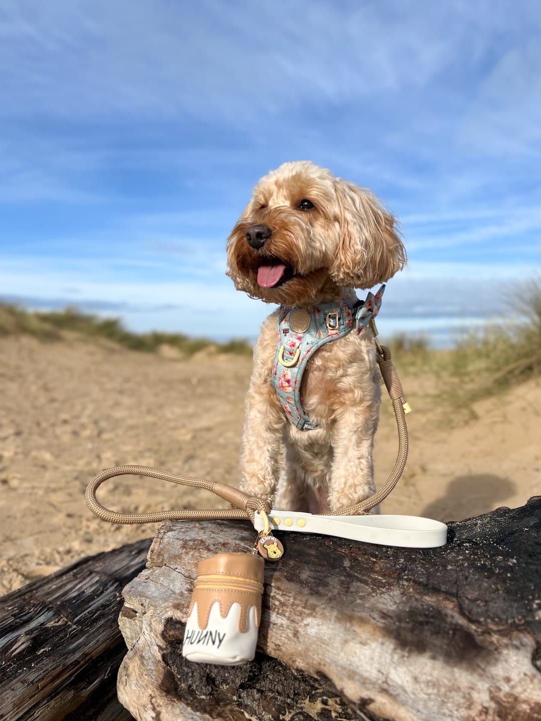 Customer photo review of Treat Pouch - Hunny Pot