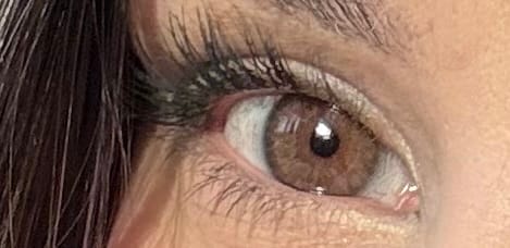 Customer photo review of Eyeling Light Brown