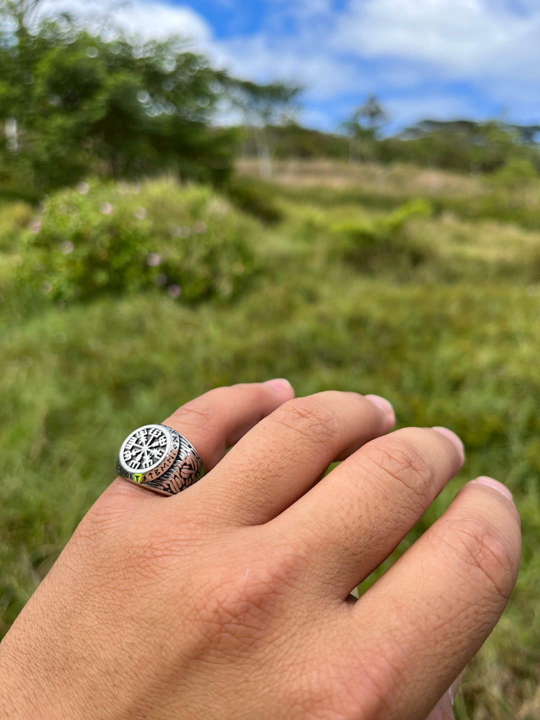 Customer photo review of VIKINGS. - SILVER