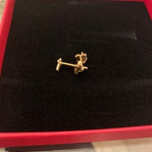 Customer photo review of Initial Earrings