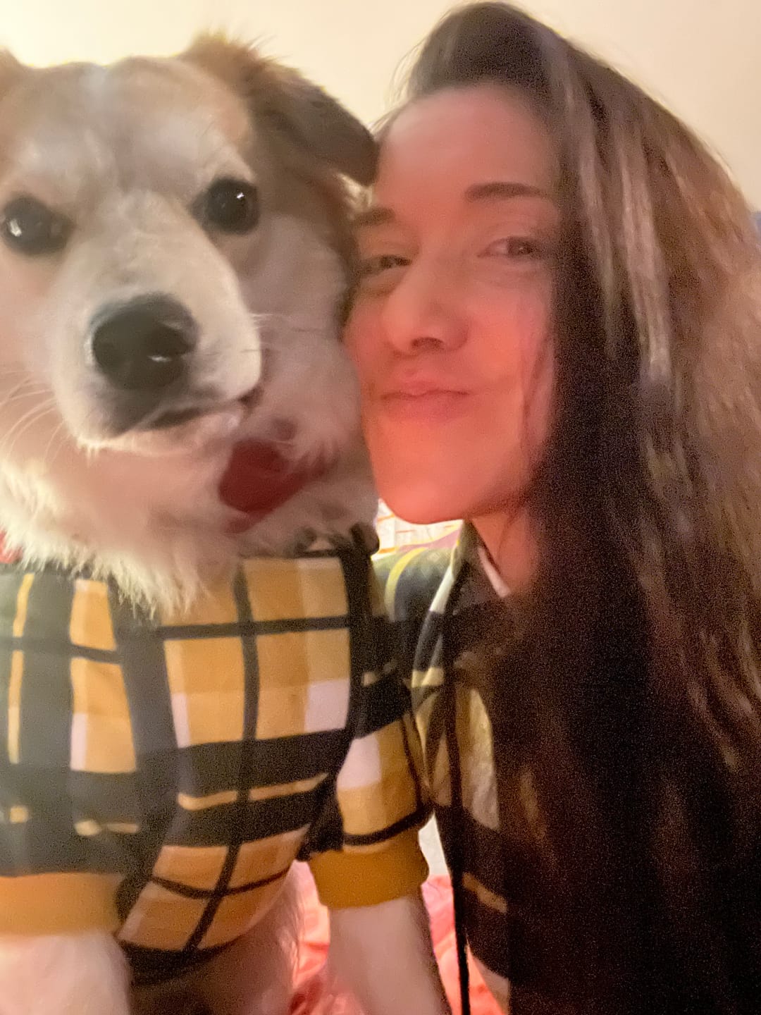 Customer photo review of Yellow Plaid Human Hoodie
