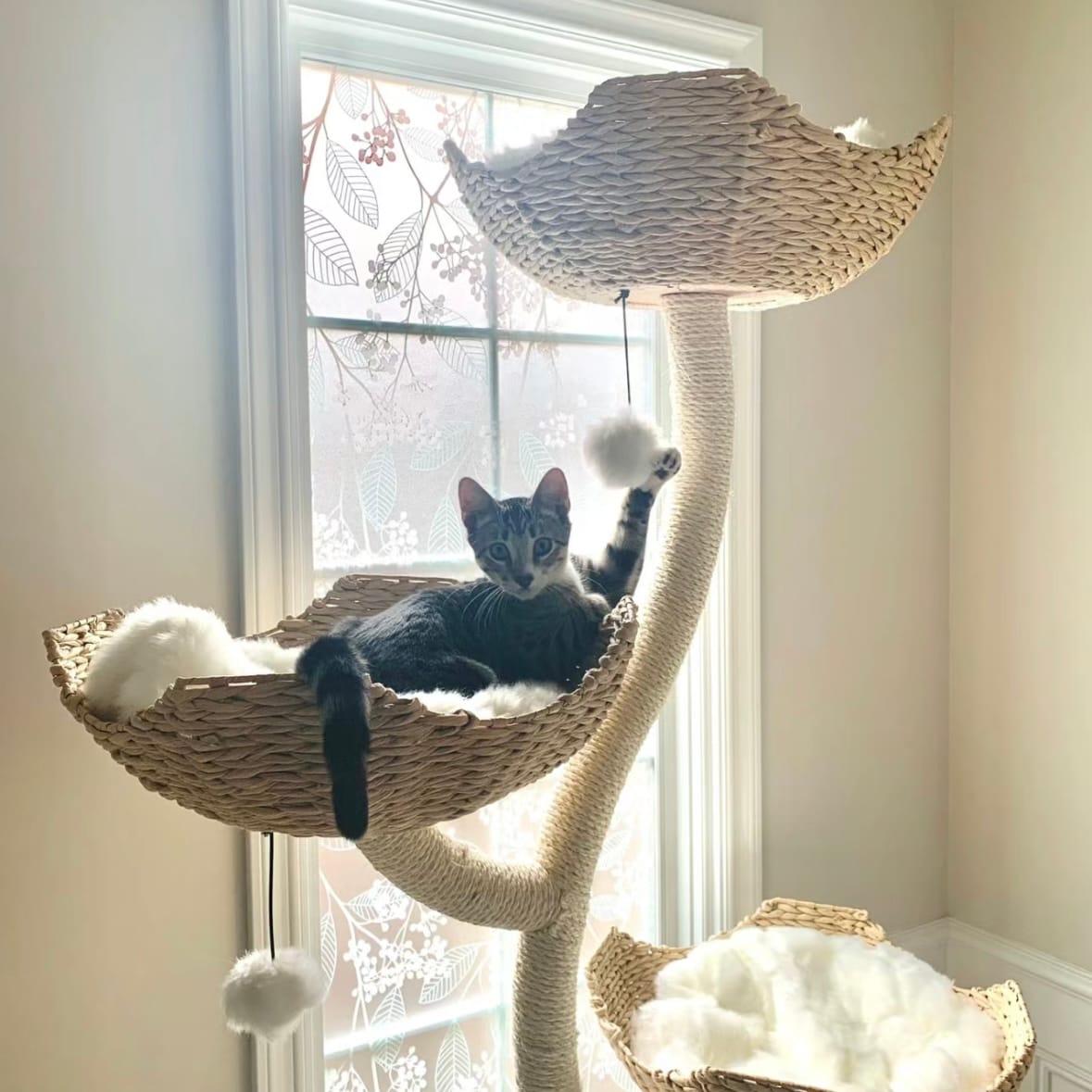 Customer photo review of MICHU Ivy Cat Tower Deluxe 4-Tier Designer Cat Tree