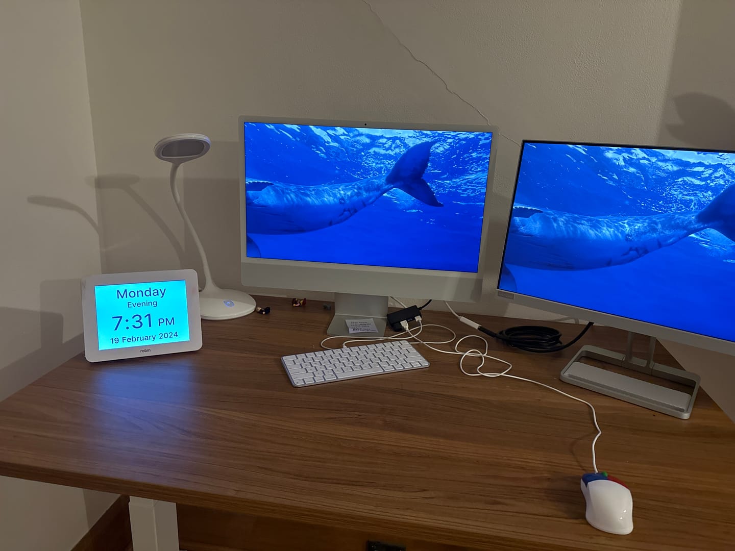 Customer photo review of Robin Day Clock