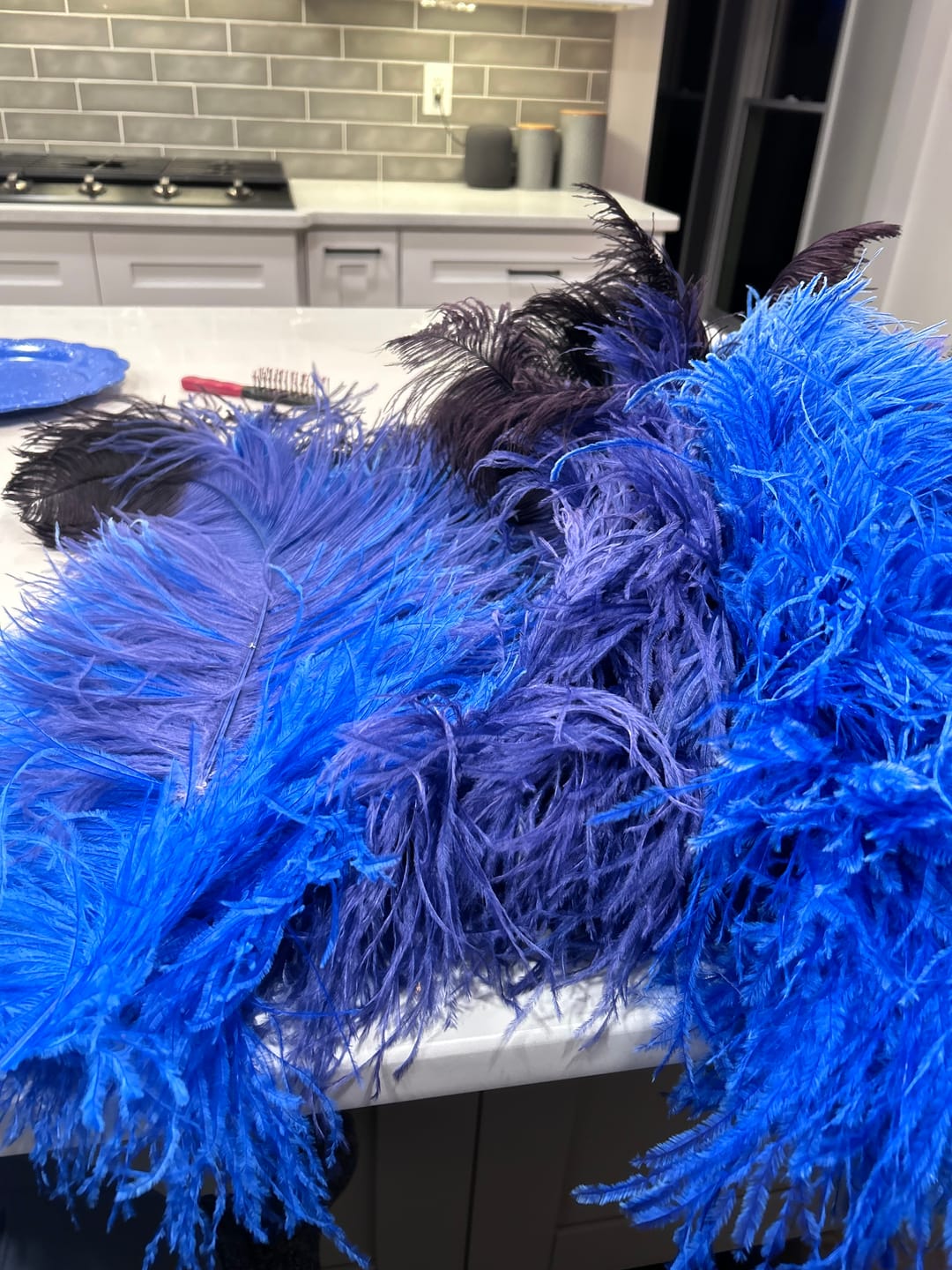 Customer photo review of Ostrich Wing Feathers | Ostrich Plumes