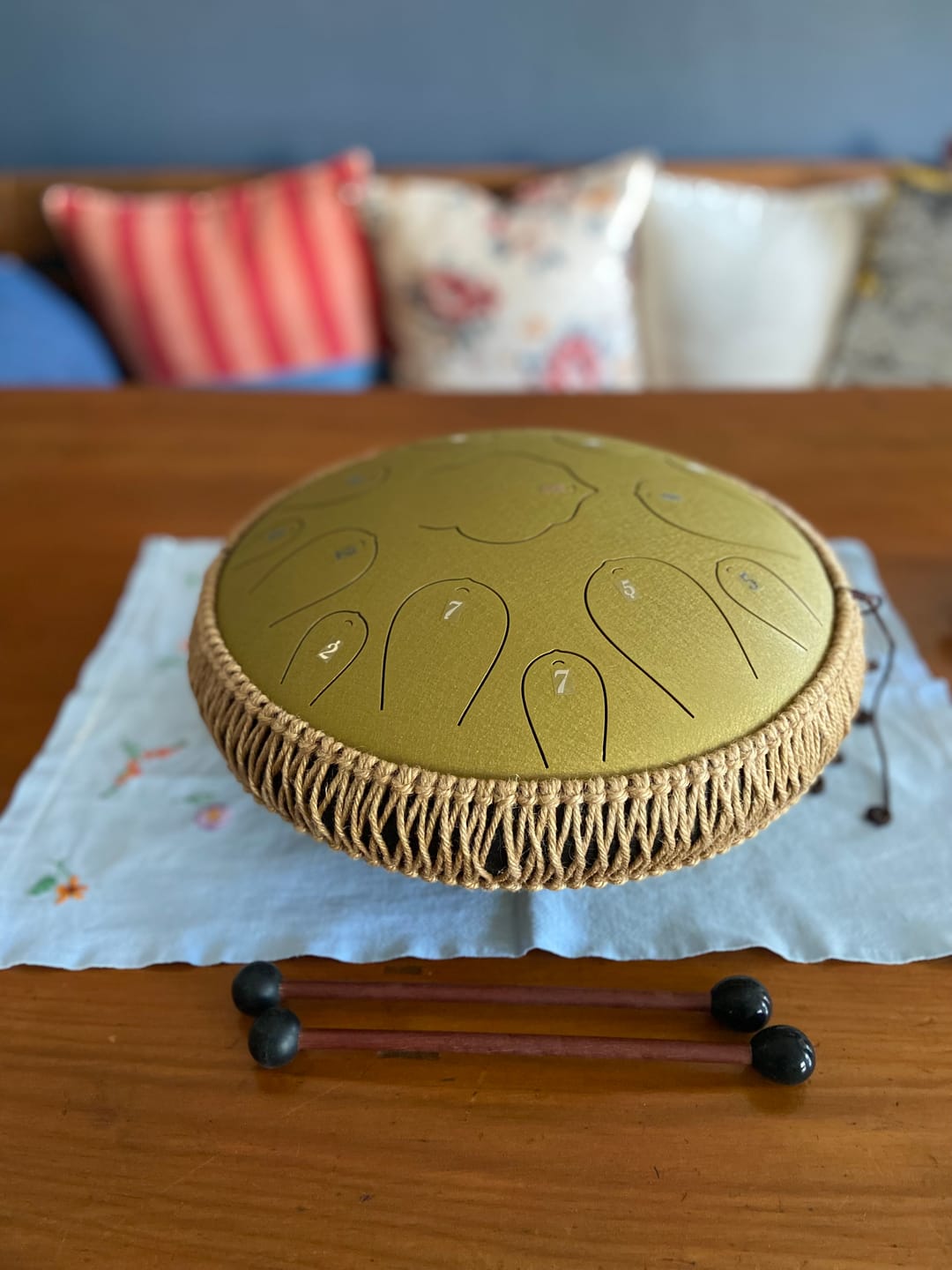 Customer photo review of Steel Tongue Drum 14" 15-Note D Major (4 Colours)