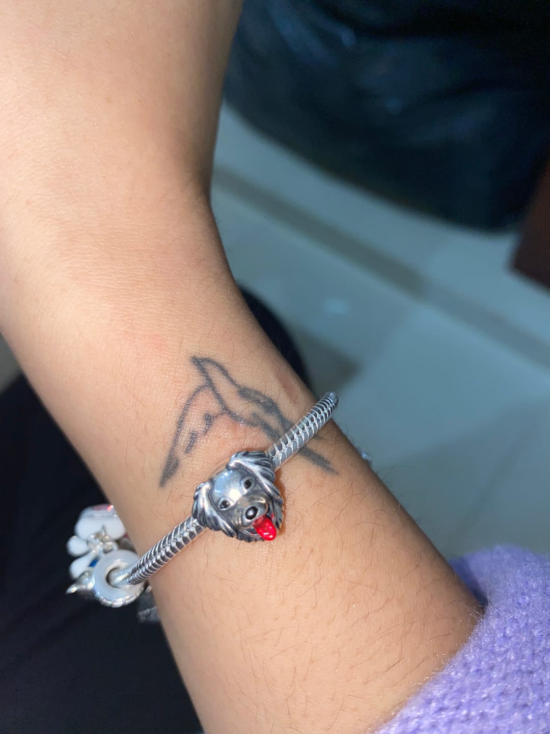 Customer photo review of Charm Perrito Labrador