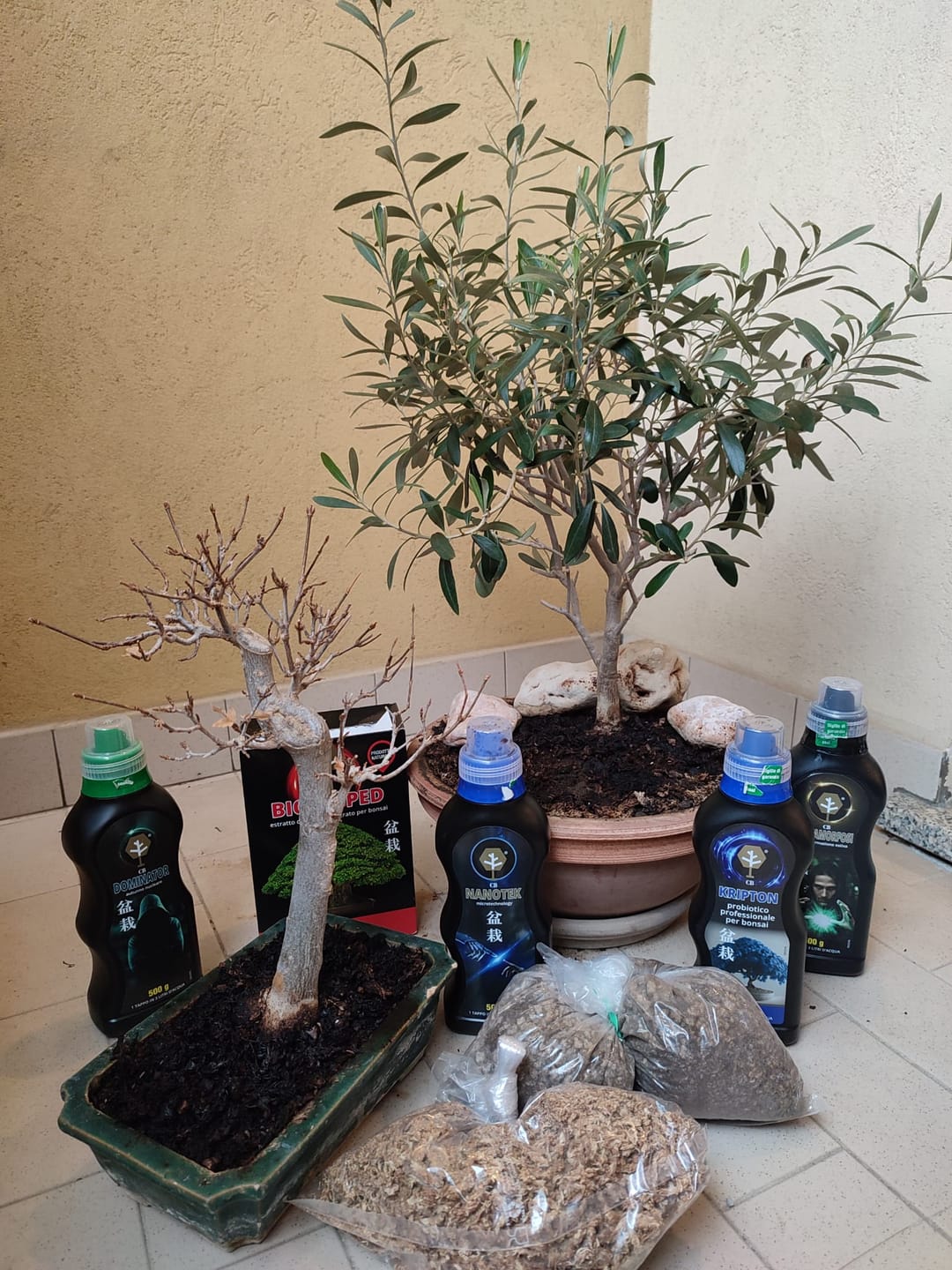 Customer photo review of AUTUNNO NUCLEARE PACK