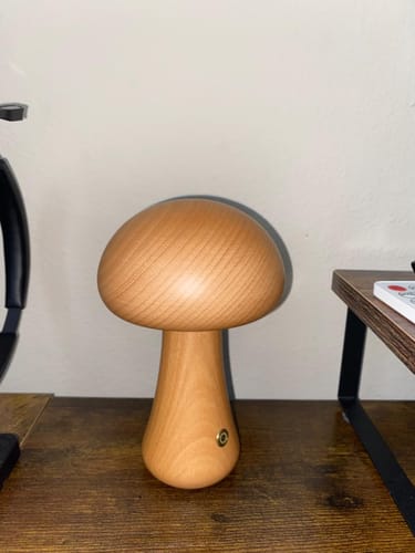 Customer photo review of Wooden Cute Mushroom Lamp