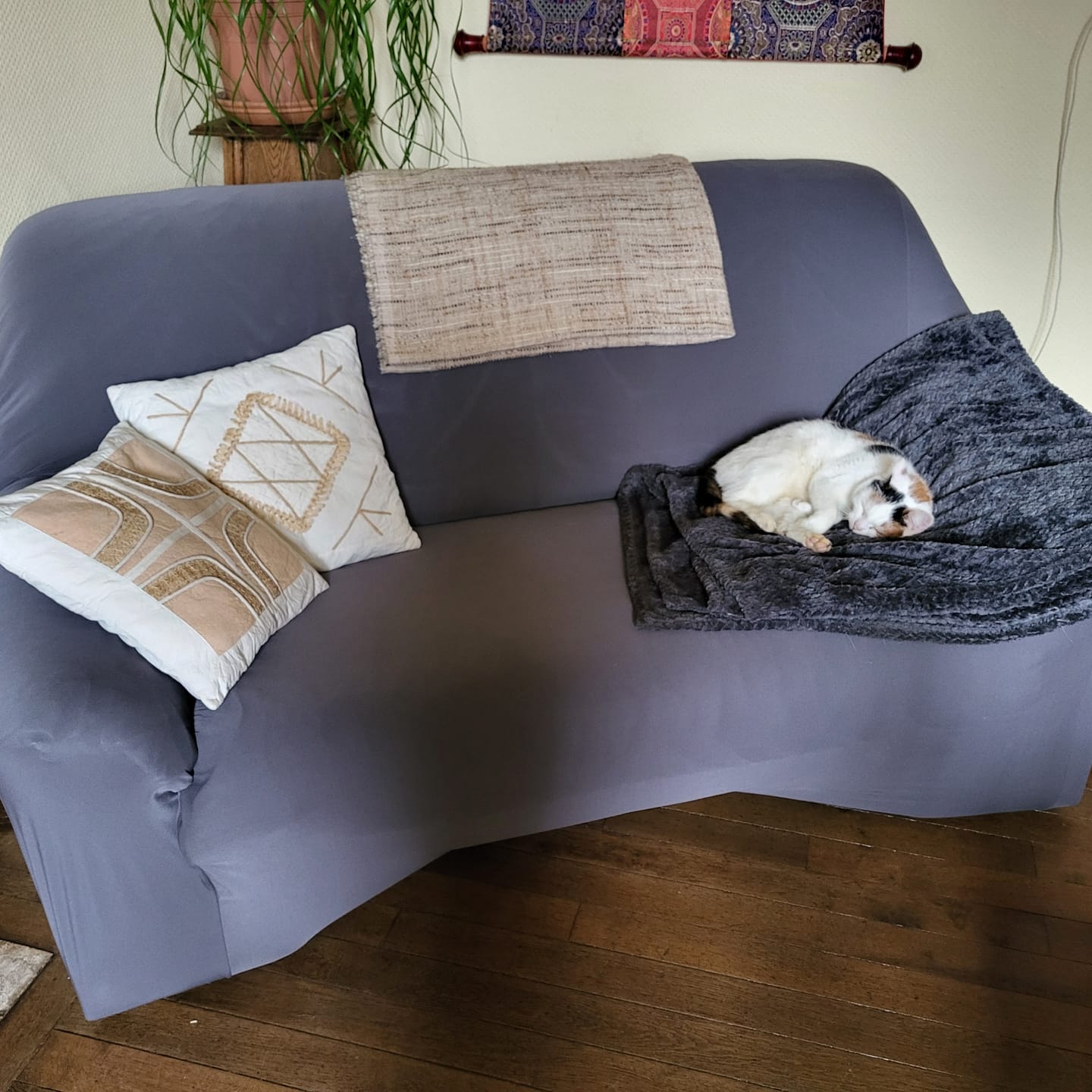 Customer photo review of Gris anthracite - Housse de Canapé Extensible