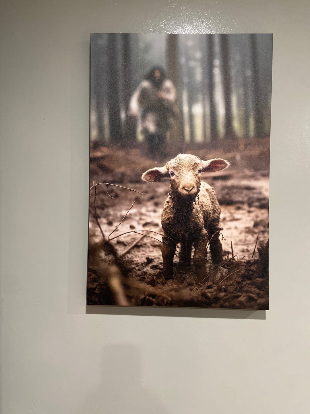 Customer photo review of Jesus Lamb of God, Jesus Running After Lamb, Wall Art Canvas