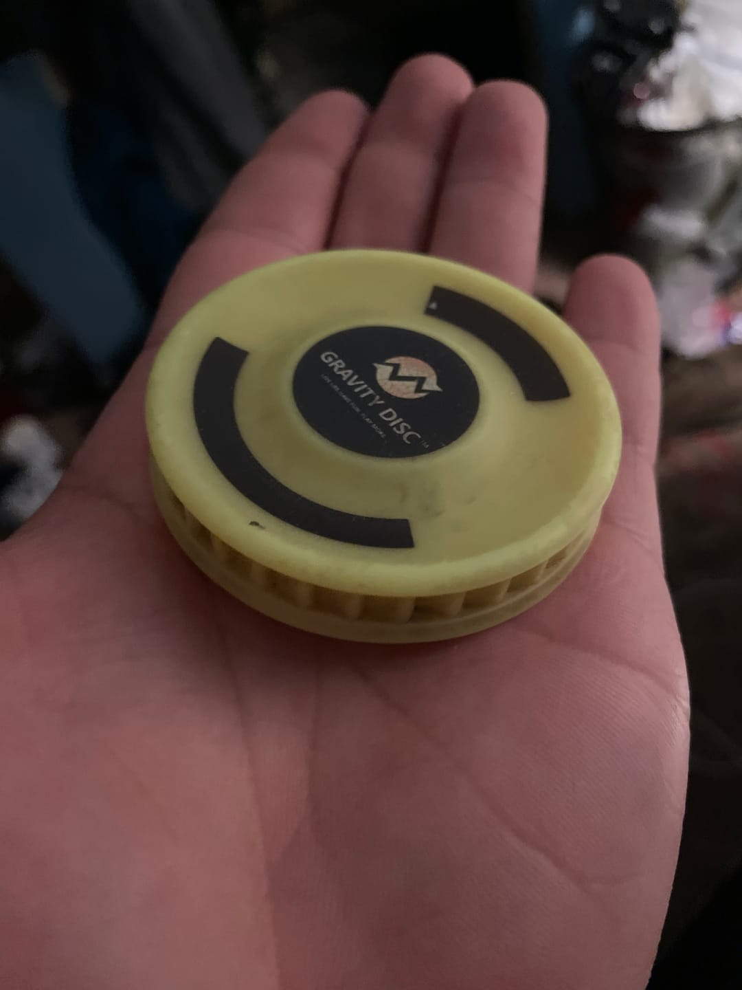 Customer photo review of Gravity Disc™ - 3 Pack (Blue, Green, Yellow)
