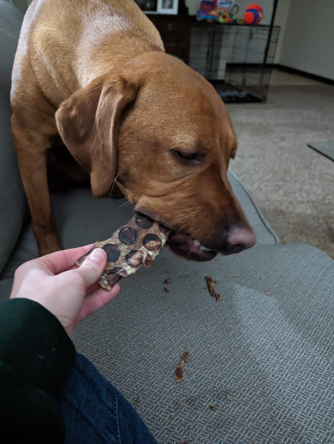 Customer photo review of 12 Inch Beef Jerky Strip