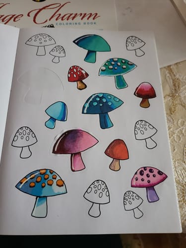 Customer photo review of Ohuhu Maui 160 Colors Dual Tips Water Based Art Markers ,Brush & Fineliner