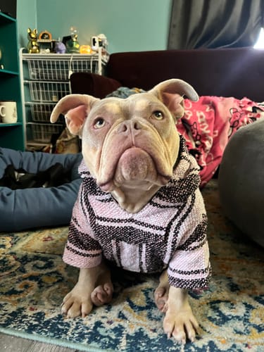 Customer photo review of Playa Poncho - Surprise Color