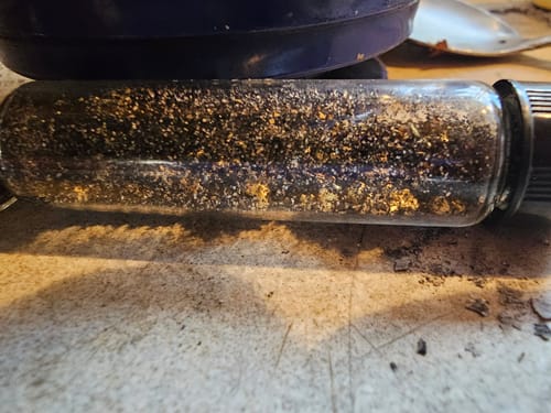 Customer photo review of Nugget Reserve 'MUSEUM SPECIMEN CHASE' - Gold Panning Paydirt Concentrate