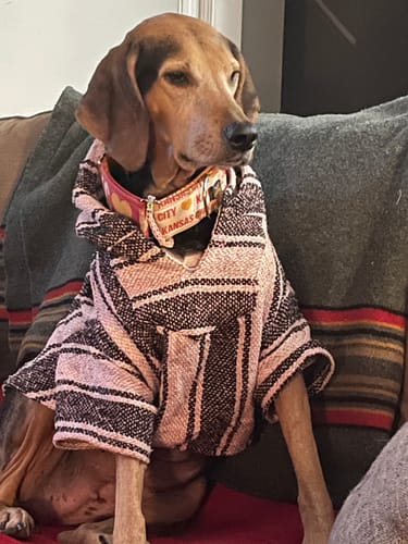 Customer photo review of Playa Poncho - Surprise Color