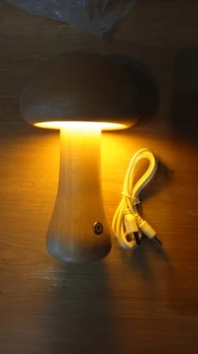 Customer photo review of Wooden Cute Mushroom Lamp