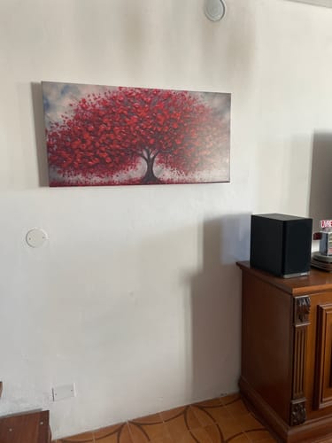 Customer photo review of ASSICURAZIONE PACCO