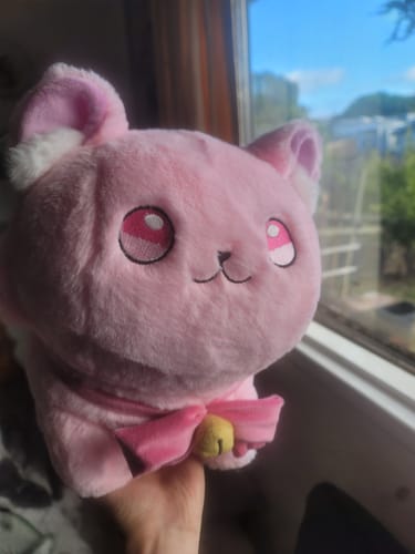Customer photo review of Turn Drawings into Plushies