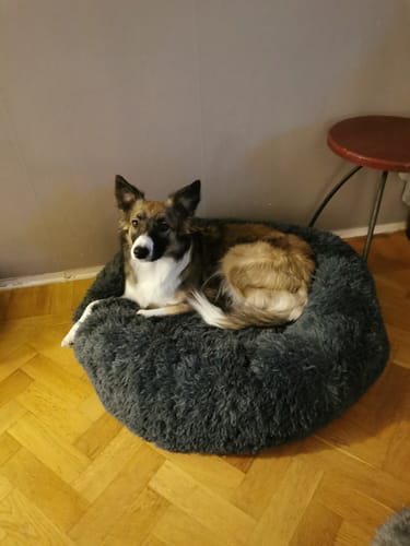 Customer photo review of CalmBed - Motverkar stress & hjälper mot ångest