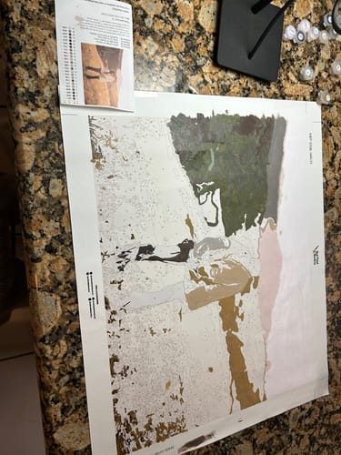 Customer photo review of Custom Paint by Number Kit