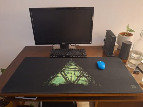 Customer photo review of Sword In The Forest