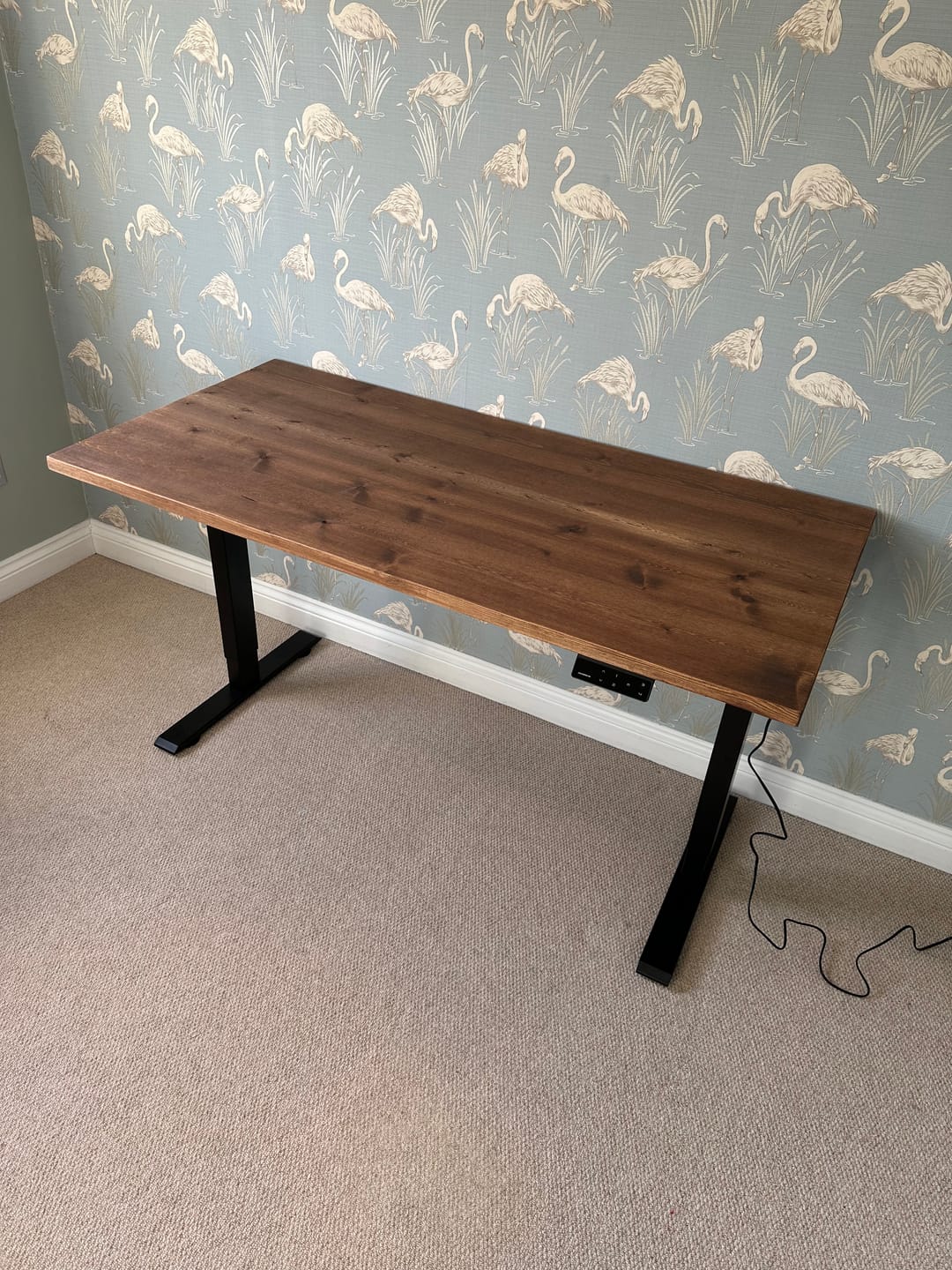 Customer photo review of Maidesite T1 Basic - Electric Height-Adjustable Standing Desk Frame